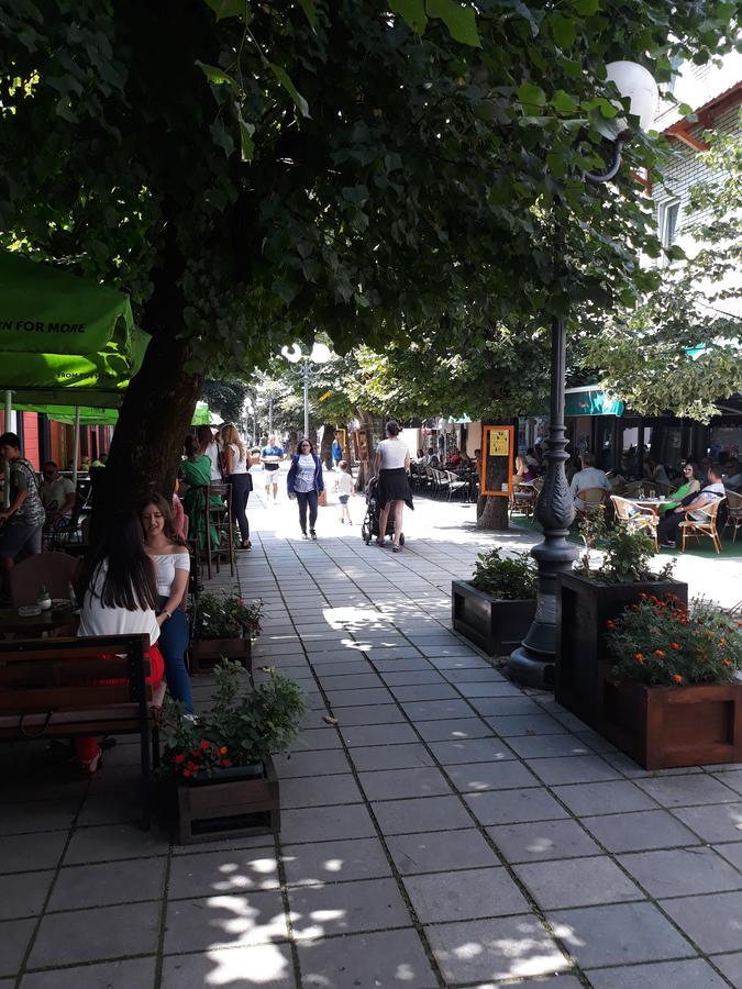 Apartment Holiday Kolaşin Dış mekan fotoğraf